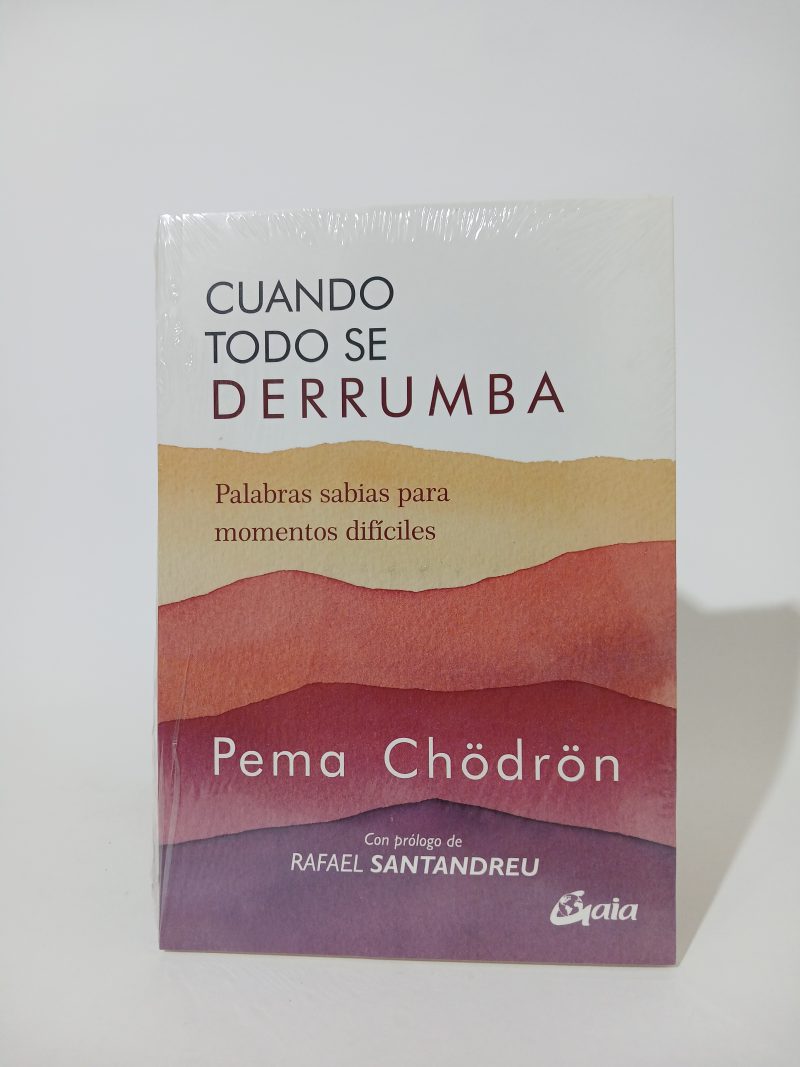 Cuando todo se derrumba