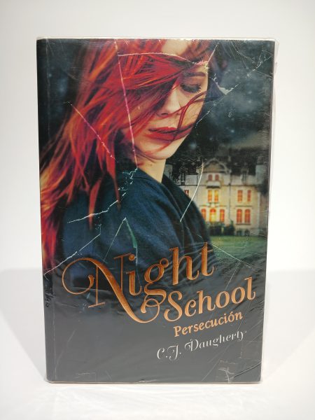 Nigth School Persecución