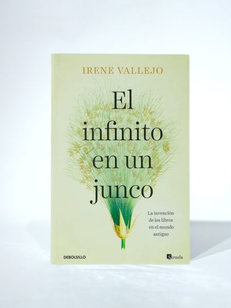 El infinito en un junco