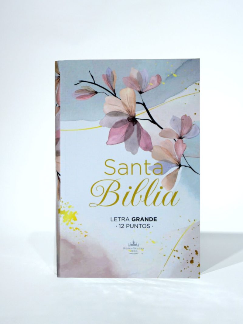 Santa Biblia Reina-Valera 1960. Letra grande 12 puntos. Estampada