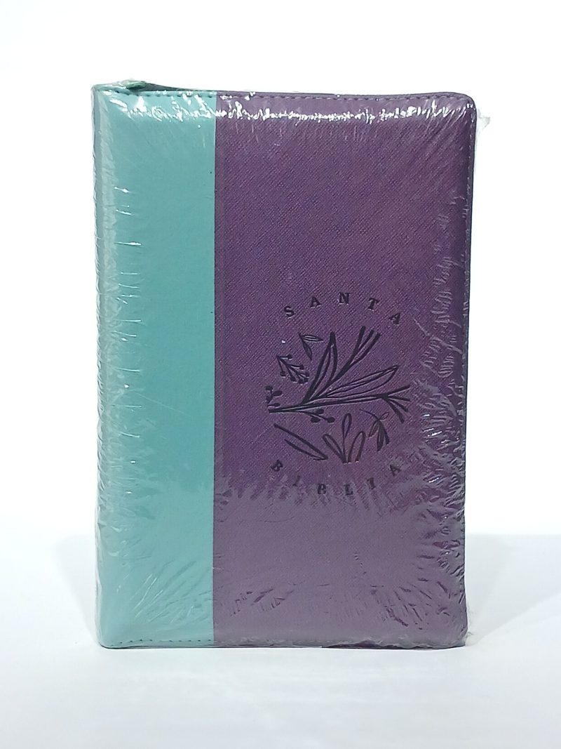 Santa Biblia Reina-Valera 1960. Letra grande. Estuche Morado