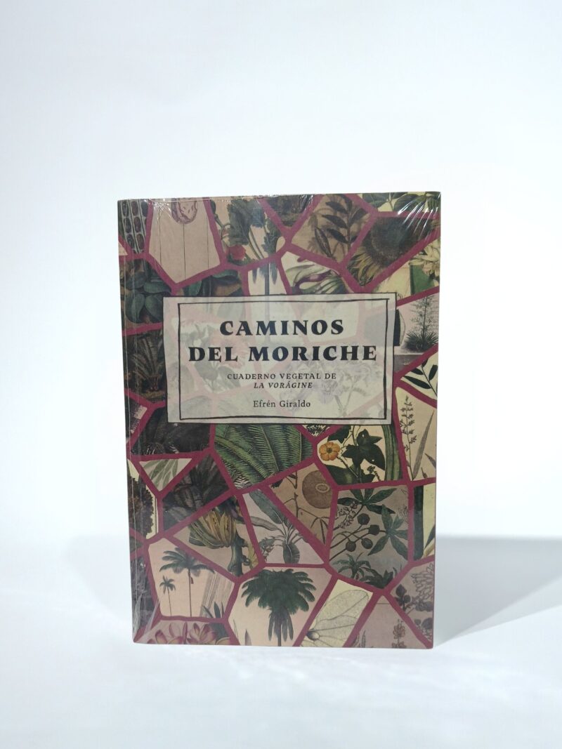 Caminos del moriche