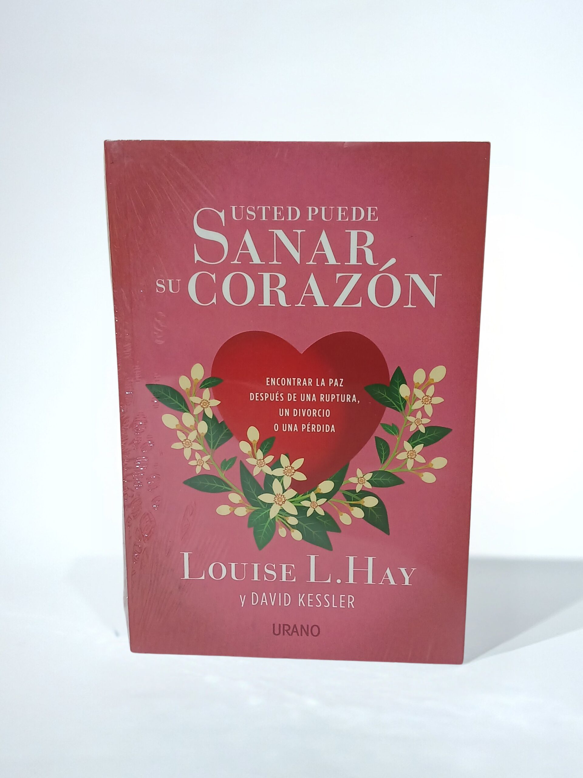 Usted puede sanar su corazón