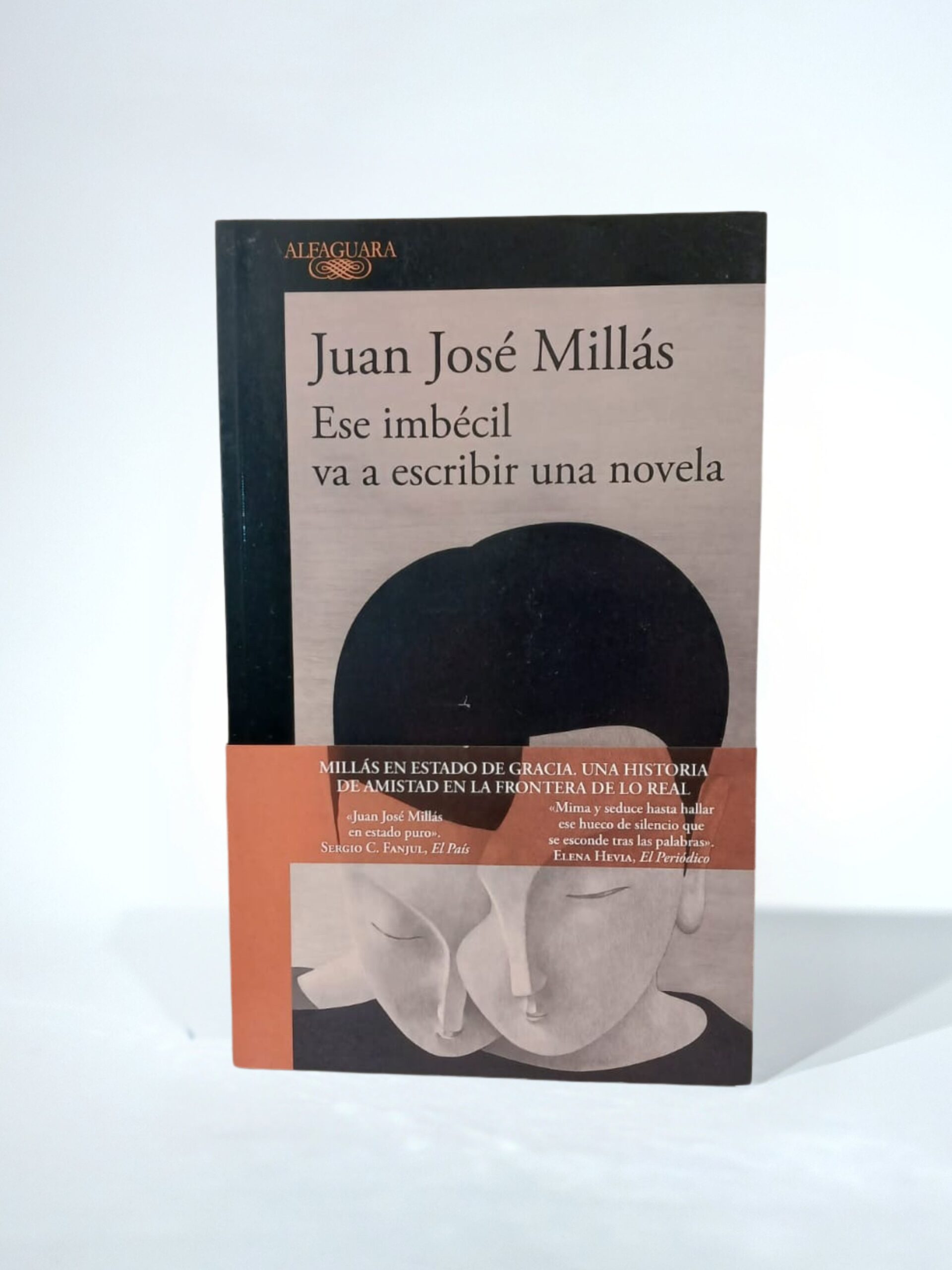 Ese imbécil va a escribir una novela