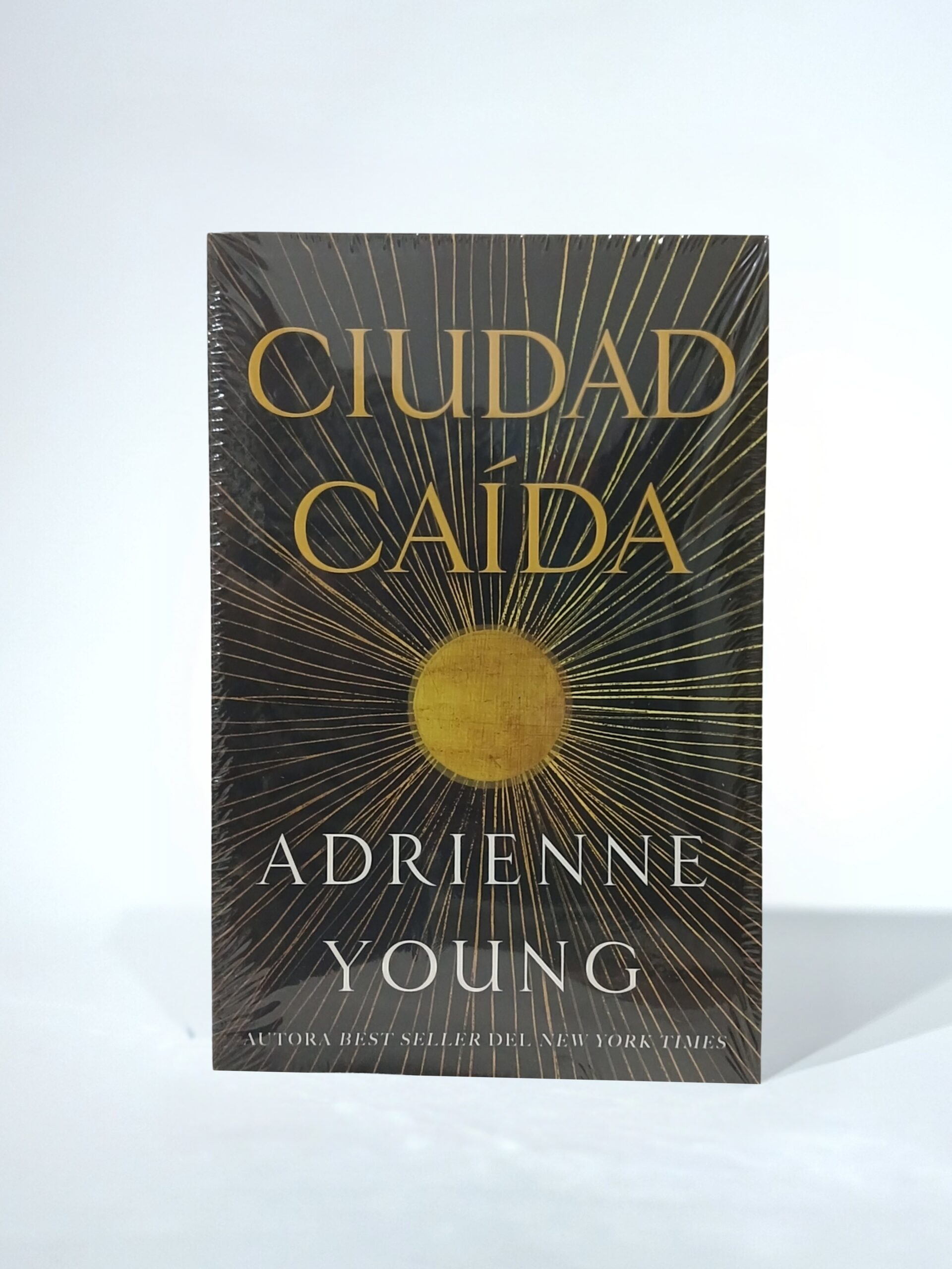 Ciudad caída