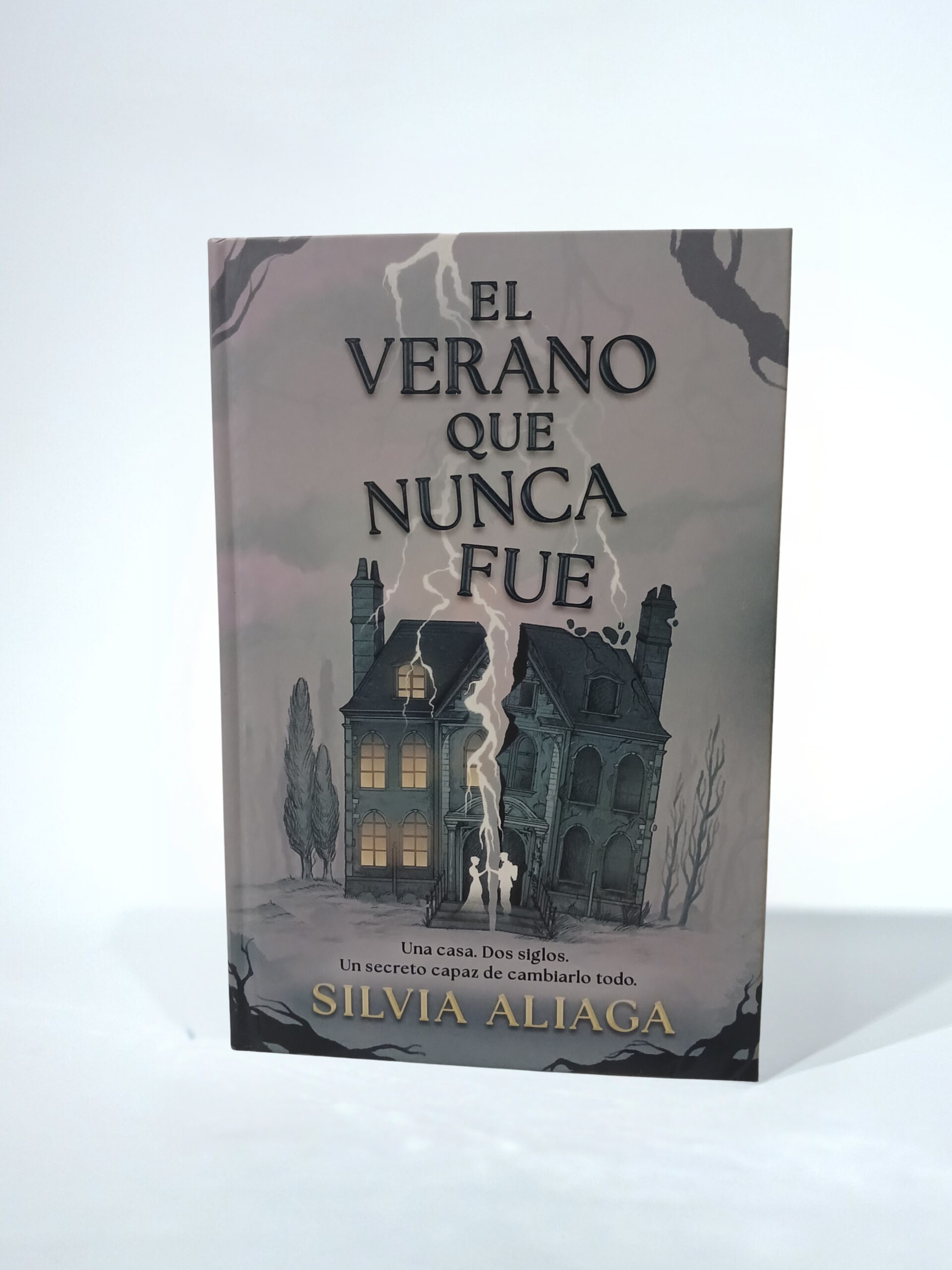 El verano que nunca fue. Tapa Dura