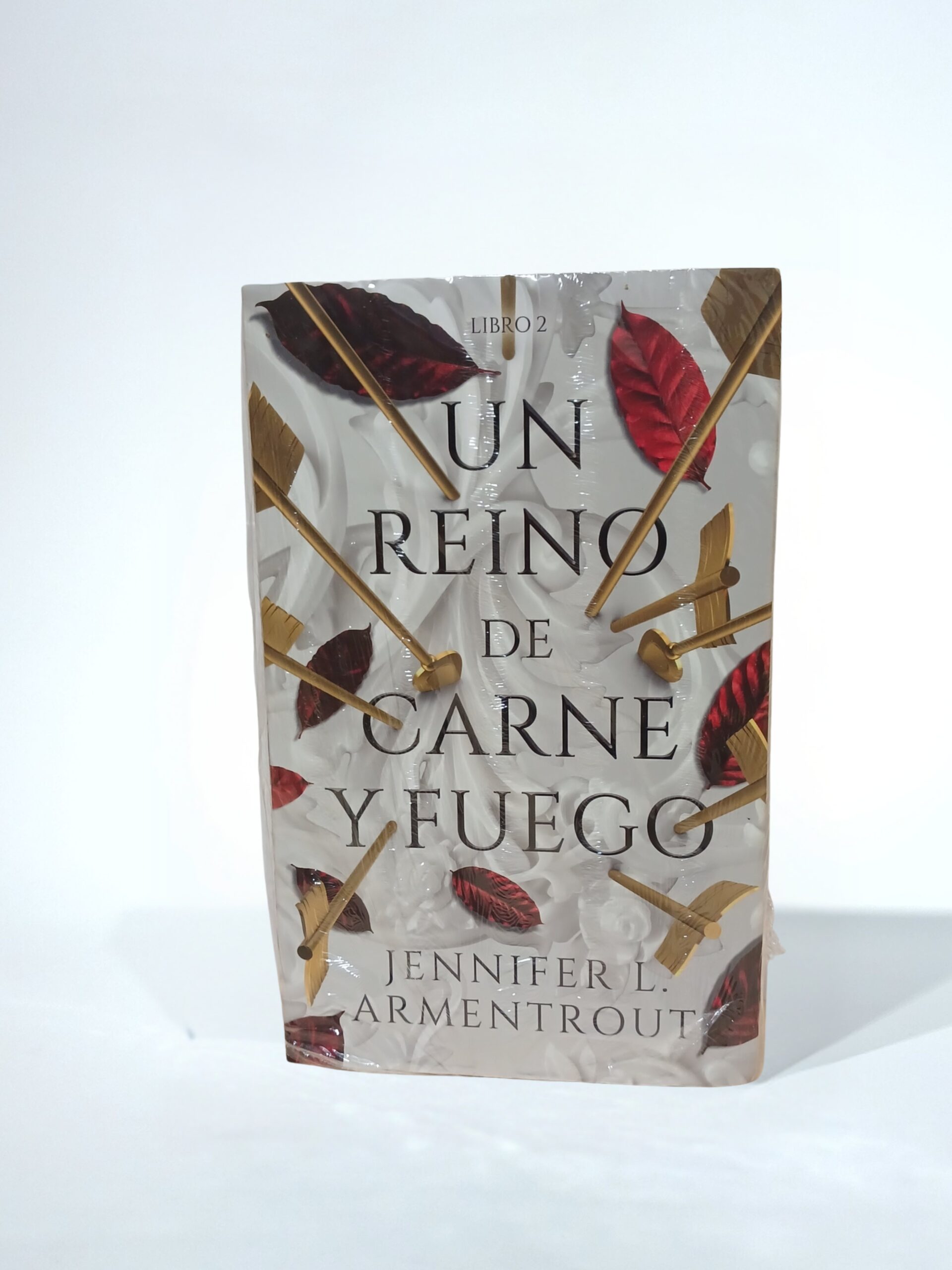 Un reino de Carne y Fuego. Sangre y Ceniza Libro 2