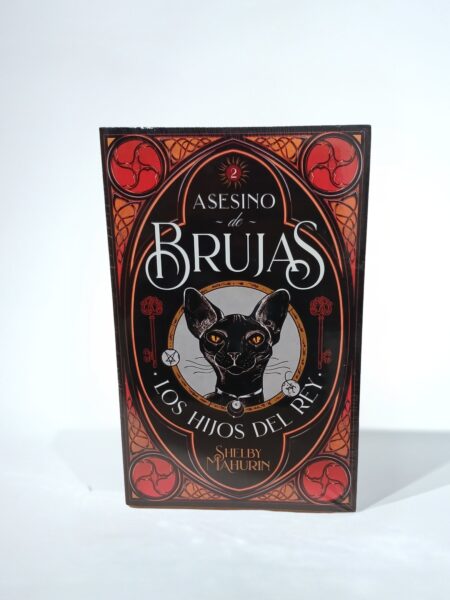 Asesino de Brujas Vol. 2: Los hijos del Rey